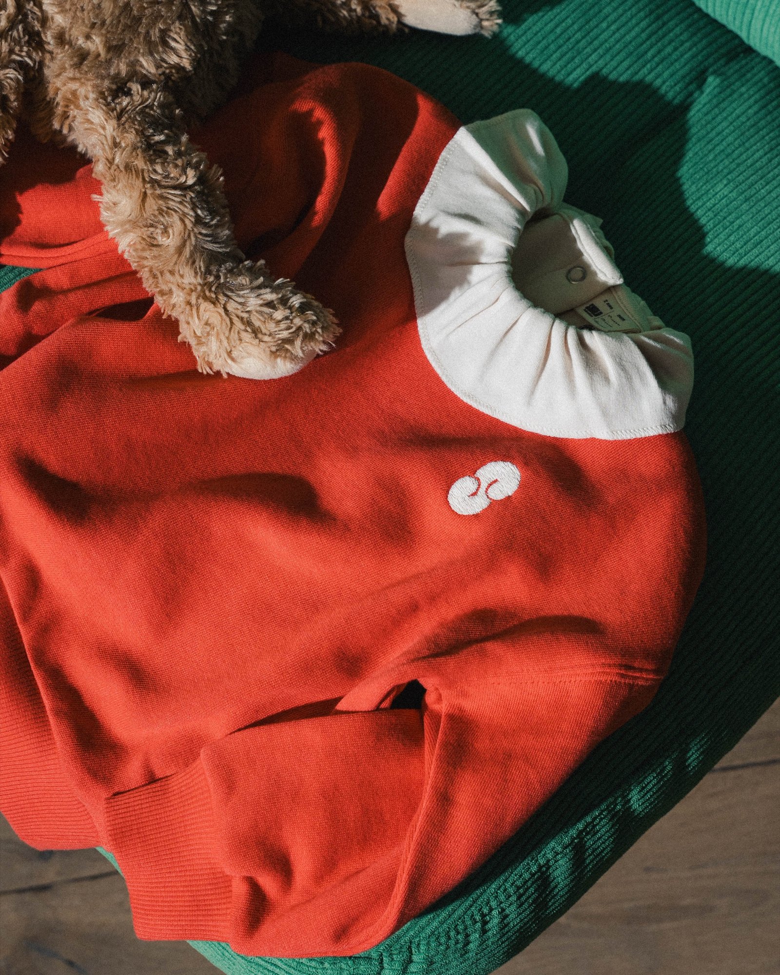 Smala — pull rouge et museau du chien